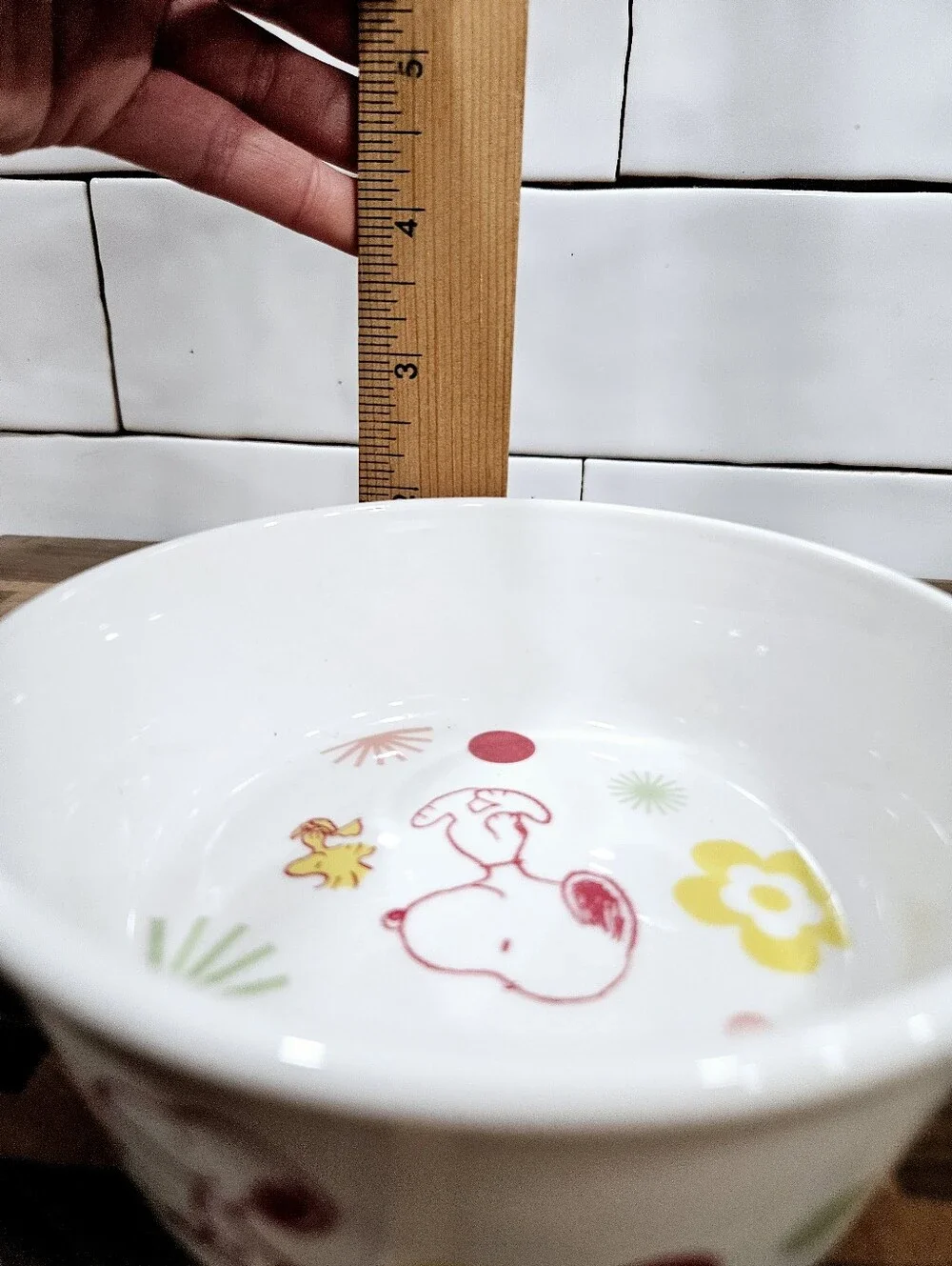 Ceramic Peanuts Snoopy & Woodstock Floral Pet Dog Feeding Water Bowl